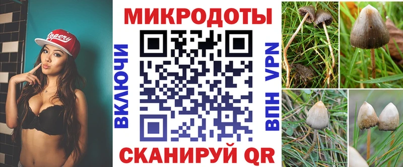 Купить где  Красногорск  Галлюциногенные грибы Psilocybe 